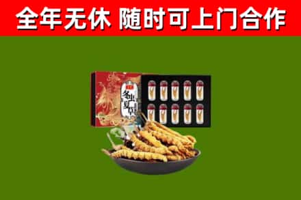 益阳回收冬虫夏草价格